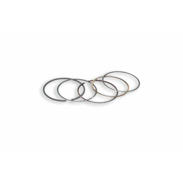 Segmentos Malossi d=44mm