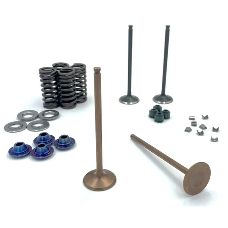 Kit distribución de Titanio Daytona Anima 4 válvulas