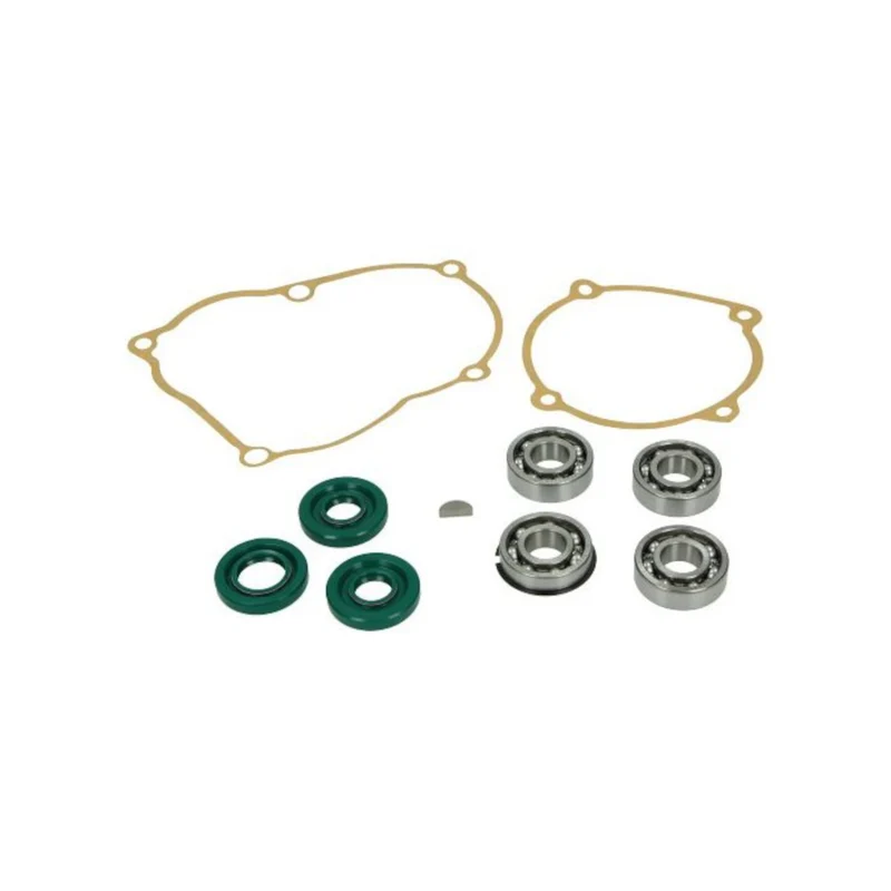 Kit rodamientos retenes y juntas motor Puch Maxi DMP