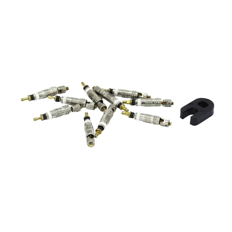 Corps De Valve Pour Tubeless P2R Argent Presta - Obus De Valve Et Outil Montage - Démontage (Lot De 10Pcs)