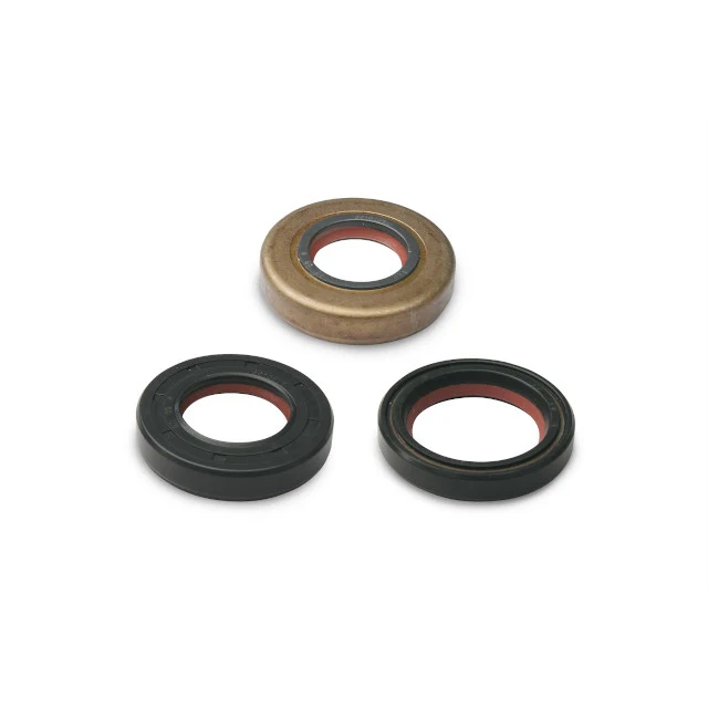 Kit de retenes cigüeñal FKM / PTFE Minarelli AM6 Malossi