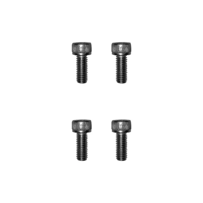 Vis gardes boue Dualtron x100 pcs