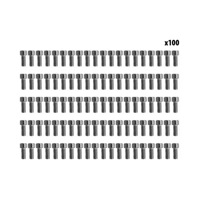 Vis gardes boue Dualtron x100 pcs