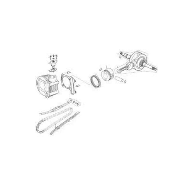 Cadena bomba de aceite Kymco Agility / Like People 125