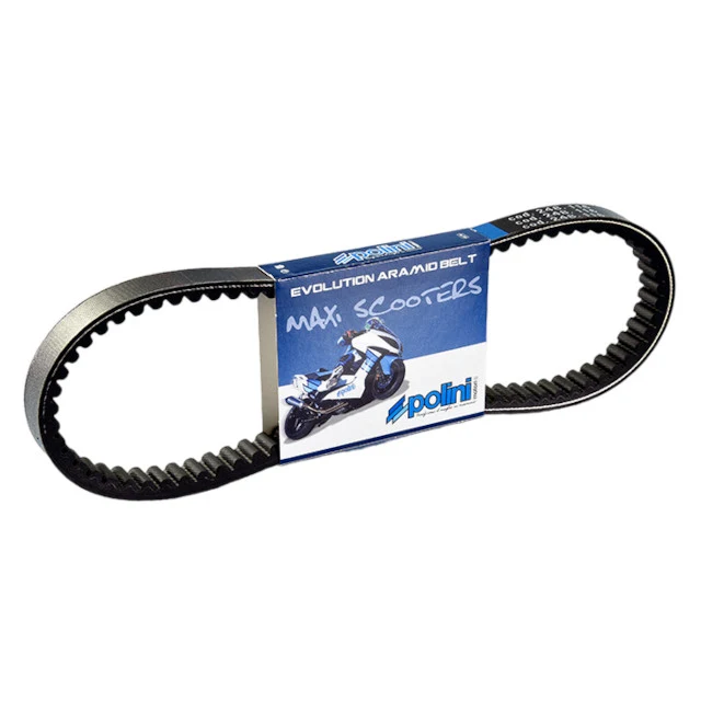 Correa de transmisión Piaggio Primavera IGET 125 euro 5 >21 Polini