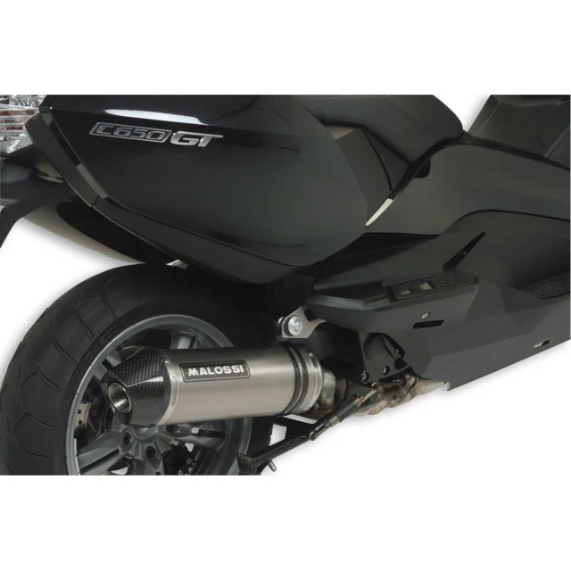 Escape Malossi Maxi Wild Lion BMW C GT 650 ie 4T LC euro 3 <15 (CE)