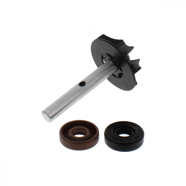 Kit reparación bomba de agua BMW F/G 650 JMP