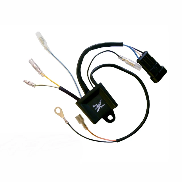 CDI doble curva Suzuki RG 500 HPI