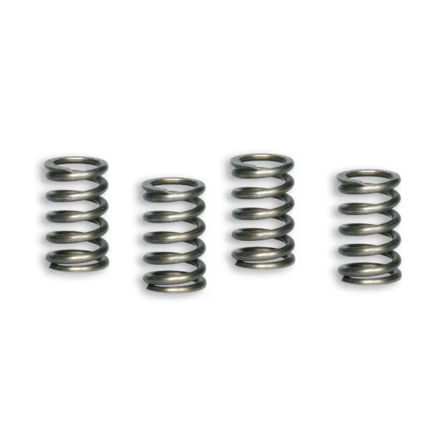 Muelles de embrague Pitbike 100/110/125/140/150 Malossi