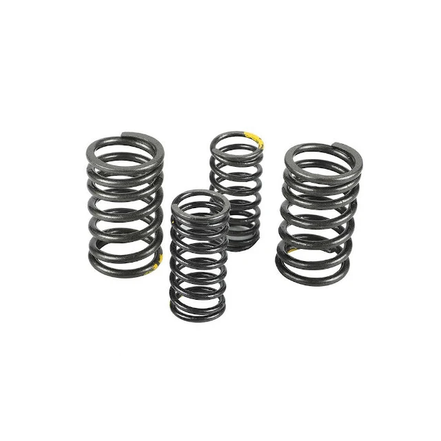 Muelles de valvula motor ZS190 Zongshen Pitbike AllPro
