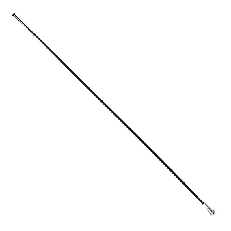 Rayon INOX Noir Plat (2,2 X 0,09 mm) Tête Droite 2 mm L 292 mm Sapim Cx-Ray Avec Écrou (Vendu A L'Unite)