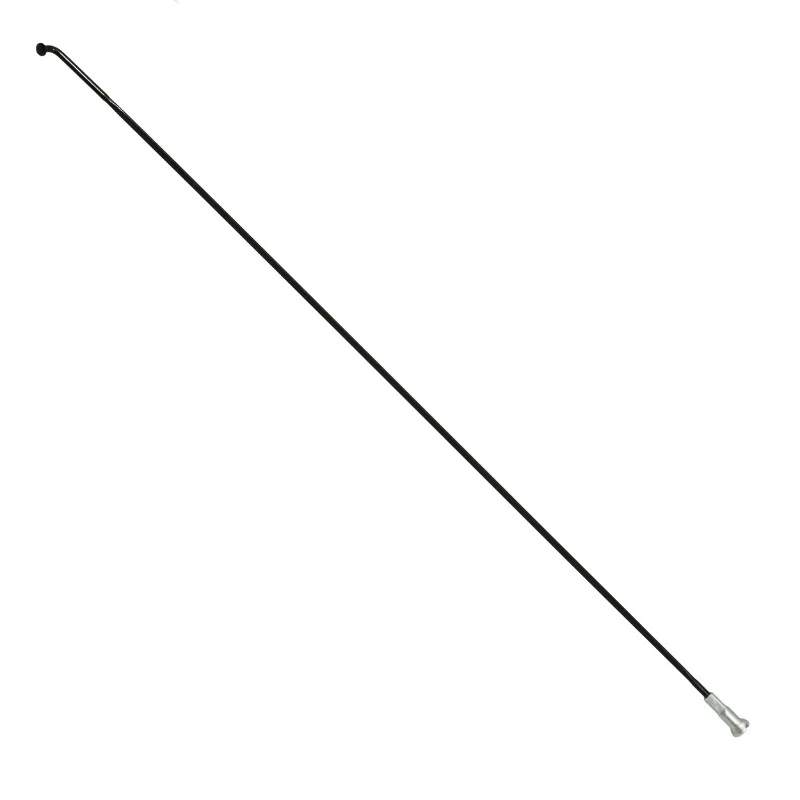 Rayon INOX Noir Plat (2,2 X 0,09 mm) Tête Coudée 2 mm L 250 mm Sapim Cx-Ray Avec Écrou (Vendu A L'Unite)