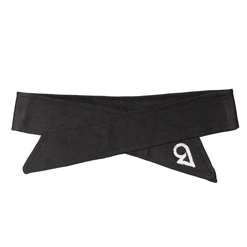 Bushi Rexy Hachimaki