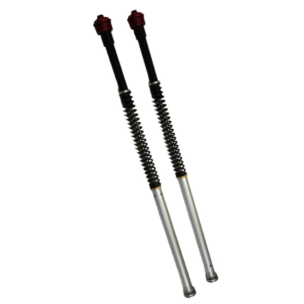 Cartuchos de horquilla Pitbike Maselli