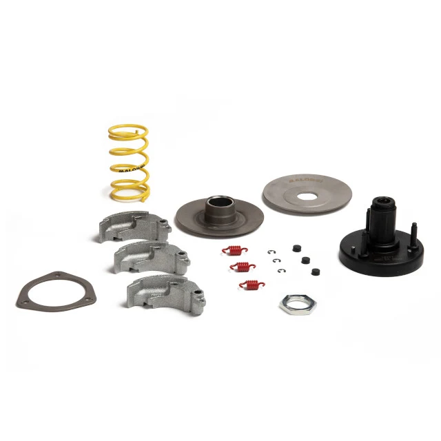 Embrague Malossi Fly Clutch motores Piaggio 50 2T