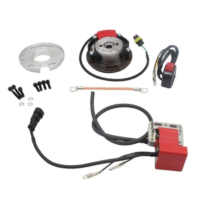 Encendido rotor interior Aprilia RS125 Rotax 123 Doble Curva Racing Italkit