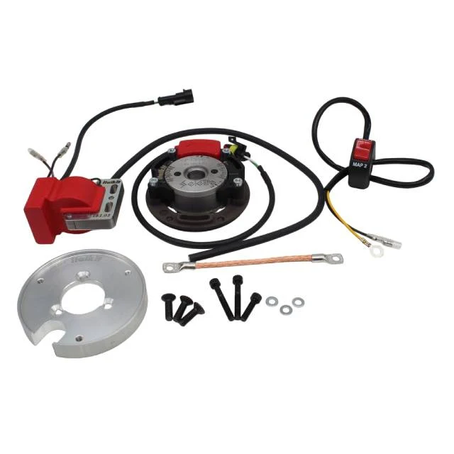 Encendido rotor interior Aprilia RS 125 Rotax 122 Doble Curva Racing Italkit