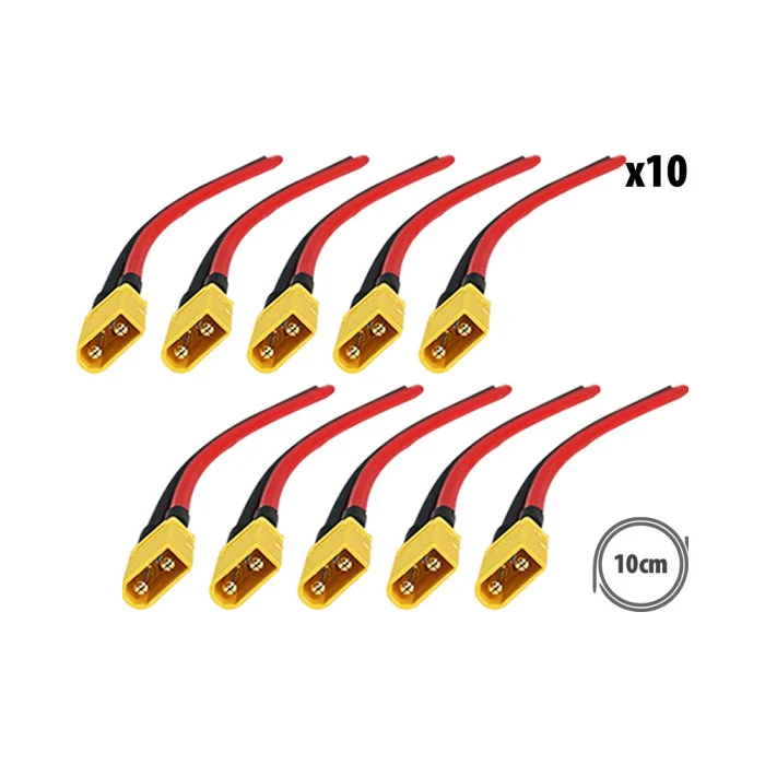 Cable alimentation Kugoo S1