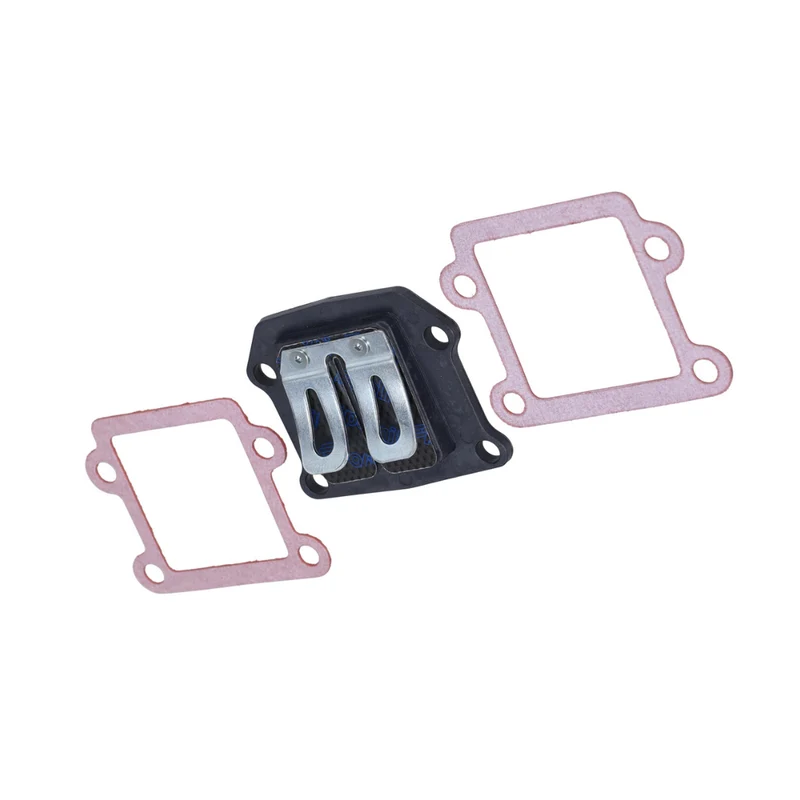 Membrane Polini MBK Booster / Yamaha BW's