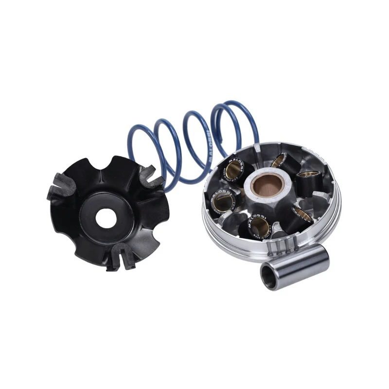 Malossi Multivar Viva City 100cc 2 Temps