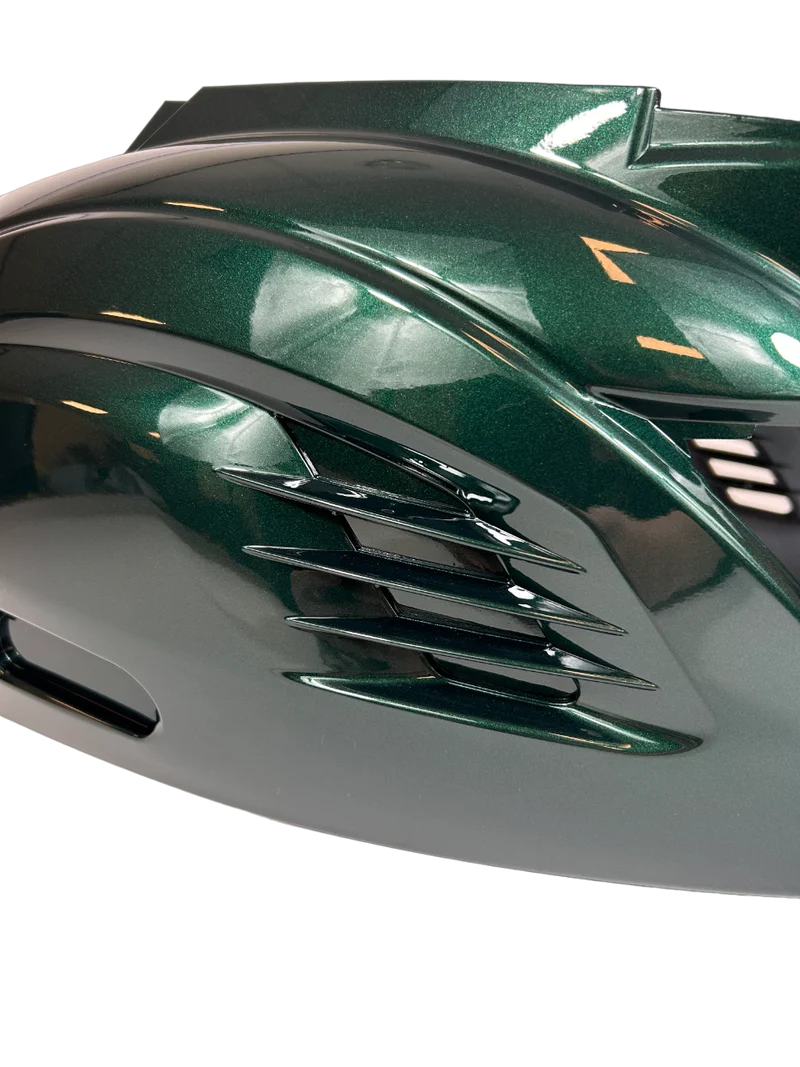 RS1 Carrosserie Piaggio Zip Jaguar Vert